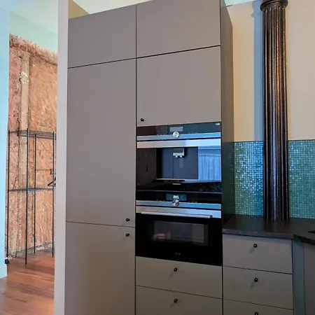 Designer Loft In Center Apartment